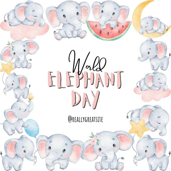 cute elephant cartoon with text. watercolor illustration. hand drawn lettering. greeting card, invitation, poster, banner, template.