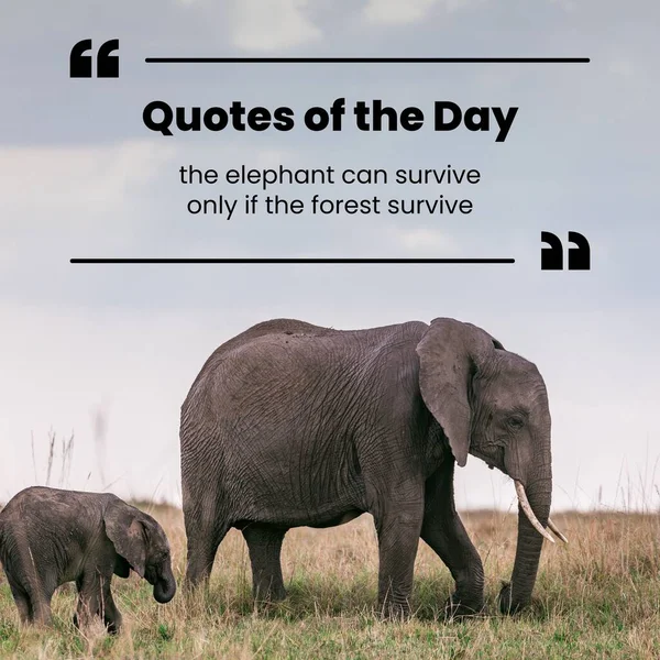 the quote of the big elephant. the world is a big day in the nature. elephant day, international day, elephant with quotes