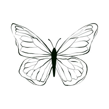 Beyaz arkaplanda kelebek