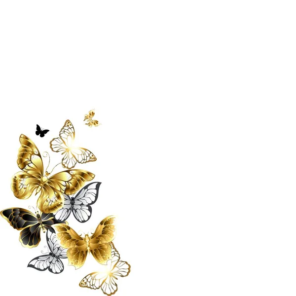 colorful butterflies design on white background, yellow, and white butterflies, butterflies background for presentation.