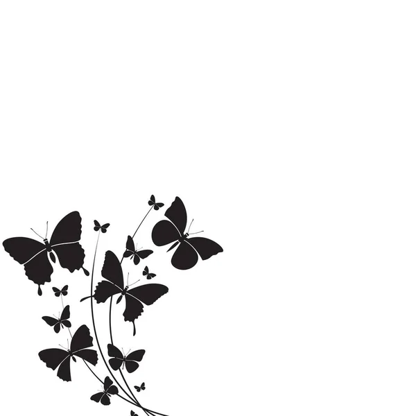 Černý Motýl Bílém Pozadí — Stock fotografie