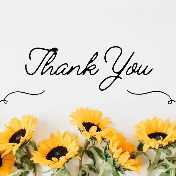 thank you card with sunflower. thank you card design, banner. thanksgiving with sunflowers background. sunflowers, thank you card,adorable sunflower background with fern and leaves, free space for your text.