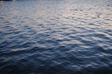 Deniz dalgalı su yüzeyi
