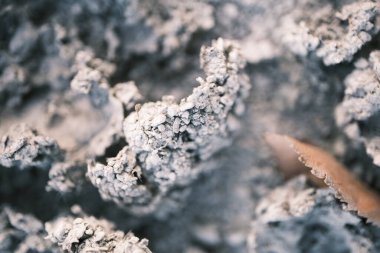 Çatlaklı bir toprak yığınına yakın.