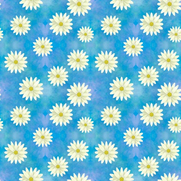 Wzór Rumianku Delikatne Kwiaty Niebieskim Tle Niebo Tle Prezent Dla — Zdjęcie stockowe