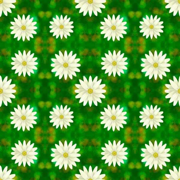Kamillenmuster Zarte Blumen Auf Dem Hintergrund Von Gras Auf Dem — Stockfoto