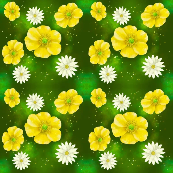 Jaskry Kwiaty Rumianku Pod Słońcem Lato Słońce Ciepło Wakacje Ogród — Zdjęcie stockowe