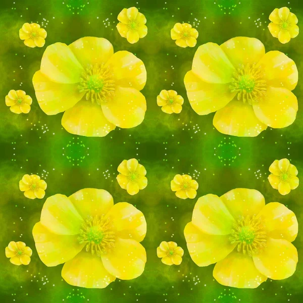 Buttercup Flowers Sun Yellow Sunny Bright Flowers Summer Holidays Vacation — Stock Photo, Image