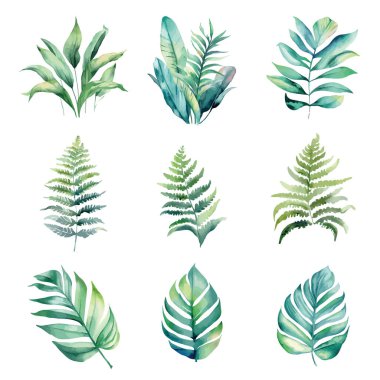 Beyaz arka planda izole edilmiş suluboya tropikal yapraklar.