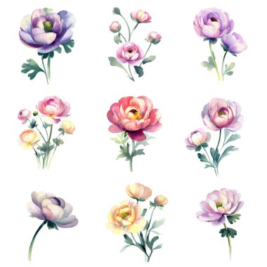 Suluboya çiçekleri, beyaz arka planda izole edilmiş. El çizimi illüstrasyon.