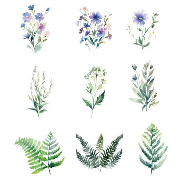 Sammlung Von Aquarell Vektor Grüne Wildkräuter Und Wildblumen Auf Weißem — Stockvektor