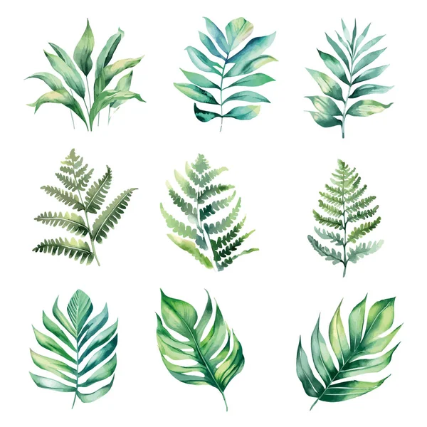 Sammlung Von Aquarell Vektor Grünen Tropischen Pflanzen Auf Weißem Hintergrund — Stockvektor