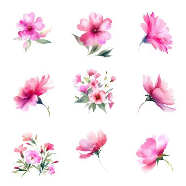 Suluboya pembe çiçekler. El yapımı. Beyaz arkaplanda izole.