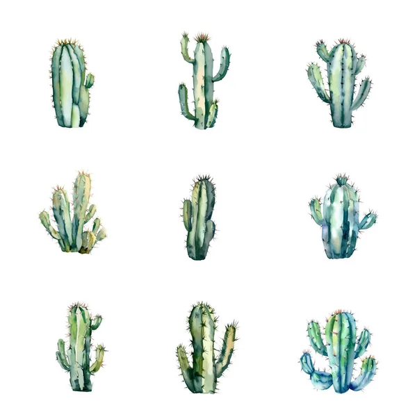 Ensemble Cactus Aquarelle Illustration Dessinée Main Isolé Sur Fond Blanc — Image vectorielle