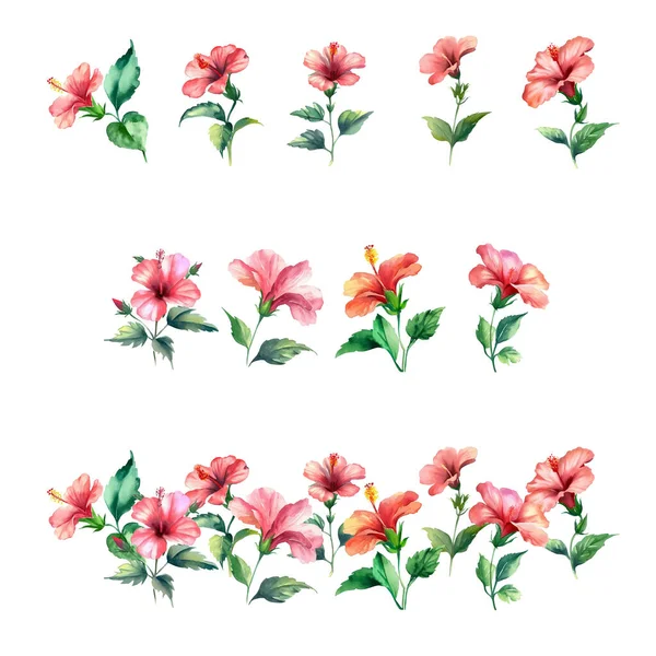 Hibiscos Conjunto Flores Hibisco Acuarela Ilustración Pintada Mano — Archivo Imágenes Vectoriales