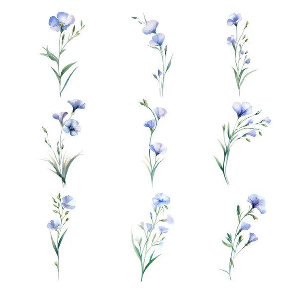 Flax Akvarel Sada Modrých Volně Žijících Květin Izolované Bílém Pozadí — Stockový vektor