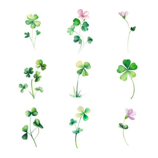 stock vector Oxalis microphylla.Set of watercolor clover leaves isolated on white background. Vector illustration.