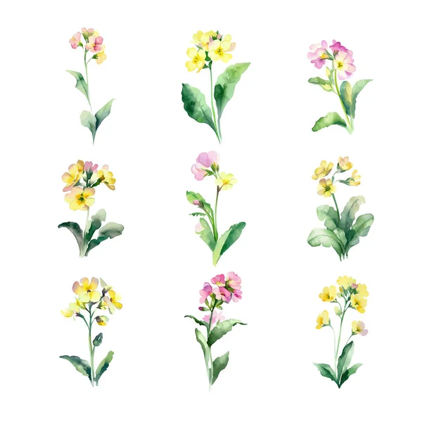 Ensemble Fleurs Aquarelles Isolées Sur Fond Blanc Illustration Dessinée Main — Image vectorielle