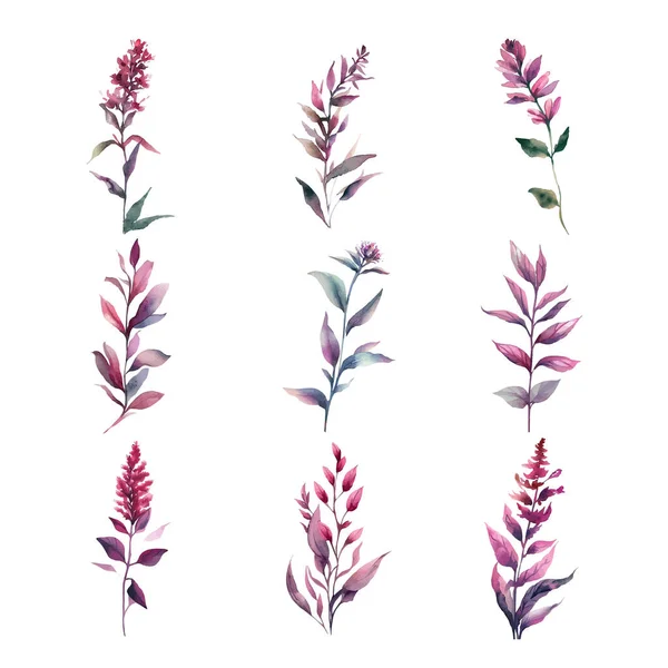 Purpurea Akwarela Ręcznie Malowany Zestaw Kwiatowy Izolowany Białym Tle Ilustracja — Wektor stockowy