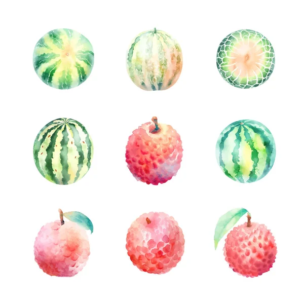 Acquerello Insieme Frutta Acquerello Litchi Melone Isolato Sfondo Bianco Illustrazione — Vettoriale Stock