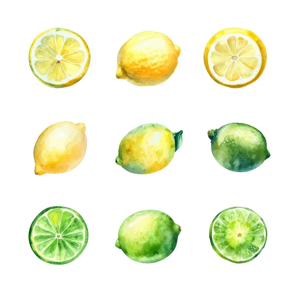 Set Acquerello Limone Lime Isolato Sfondo Bianco Illustrazione Disegnata Mano — Vettoriale Stock