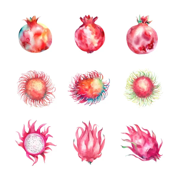 Aquarell Set Von Tropischen Früchten Granatapfel Drachenfrucht Rambutan Handgezeichnete Illustration — Stockvektor