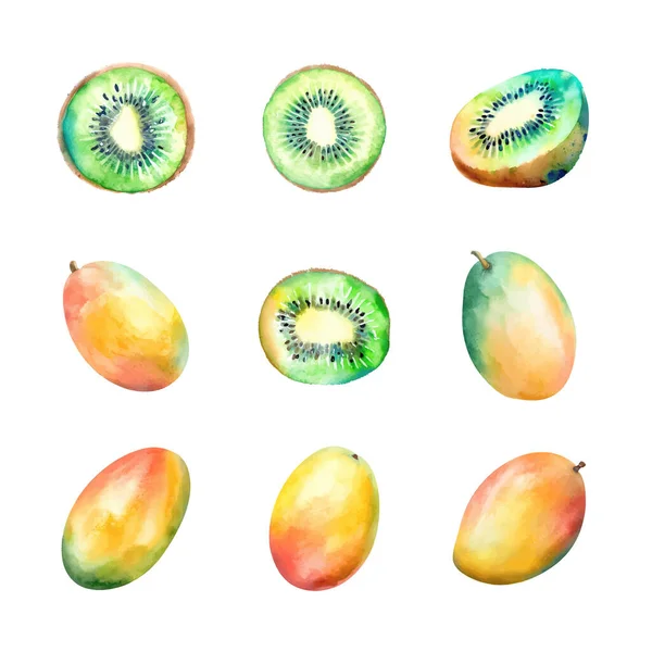 Aquarell Kiwi Und Mango Set Vorhanden Handgemalte Illustration Isoliert Auf — Stockvektor