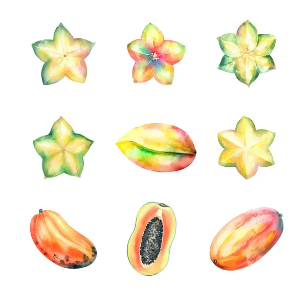 Акварель Фрукты Набор Carambola Starfruit Papaya Isolated Белом Фоне — стоковый вектор
