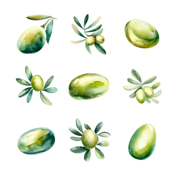 Ensemble Aquarelle Olives Avec Feuilles Illustration Dessinée Main Isolée Sur — Image vectorielle