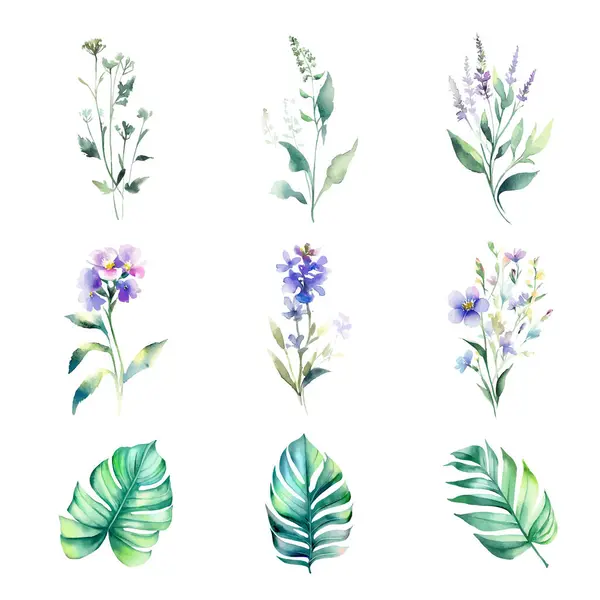 Ensemble Aquarelle Fleurs Sauvages Feuilles Herbes Illustration Peinte Main Isolée — Image vectorielle