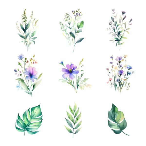 Aquarell Set Aus Wildblumen Blättern Und Kräutern Handgemalte Illustration Isoliert — Stockvektor