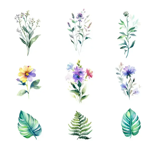 Conjunto Aquarela Flores Silvestres Folhas Ervas Ilustração Pintada Mão Isolada — Vetor de Stock