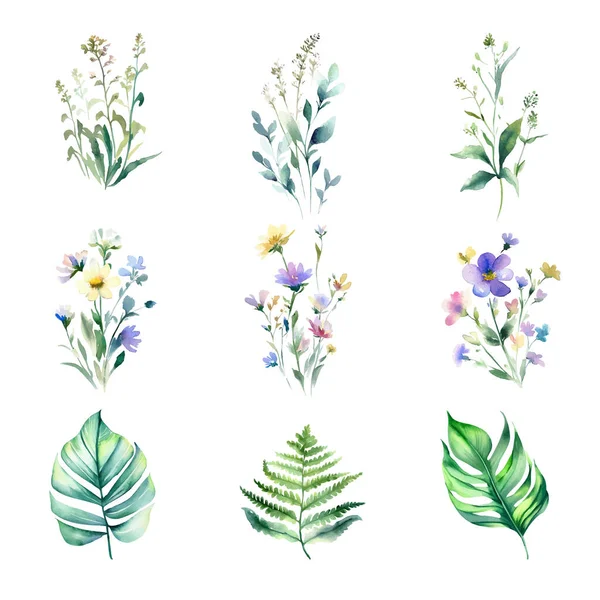 树叶和草本植物的水彩画 白色背景上孤立的手绘插图 — 图库矢量图片