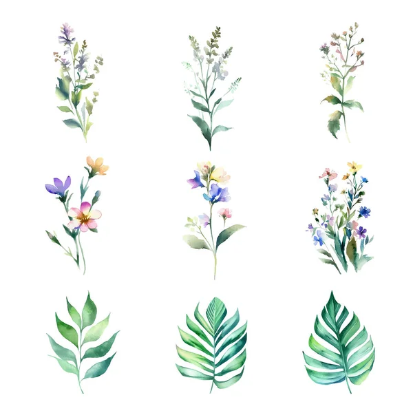 Ensemble Aquarelle Fleurs Sauvages Feuilles Herbes Illustration Peinte Main Isolée — Image vectorielle