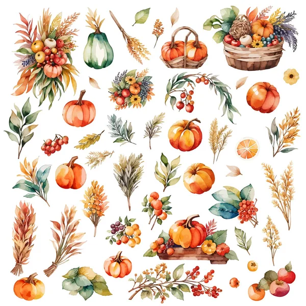 stock vector Watercolor autumn harvest set with pumpkins, berries and leaves on white background.