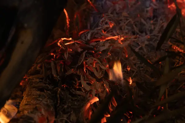 Volkan lavı şu anda çok tehlikeli bir patlamada.