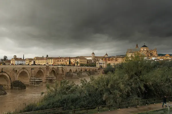 Cordoba 'nın Guadalquivir Nehri' nde sağanak yağış nedeniyle büyük bir su akıntısı var.