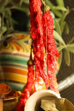 Sıcak, kırsal ve davetkar bir atmosferde kurulmuş çeşitli baharatlar sergilenen canlı kırmızı biberler.