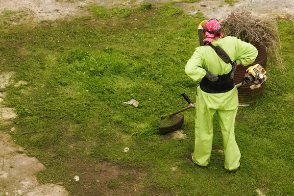 Çalışkan bir bahçıvan parlak, renkli giysiler içinde çeşitli aletler kullanır. Göz kamaştırıcı, yemyeşil bir çimenliği korumak için.