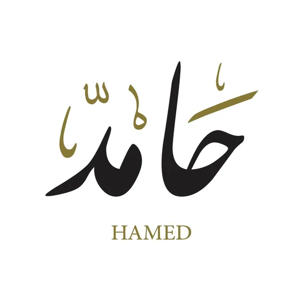 Keresi Kreatív Arab Kalligráfia Diwan Farsi Hamid Vagy Hamed Logó — Stock Vector