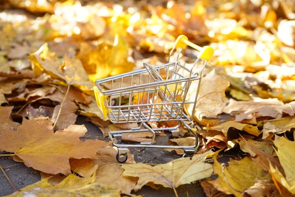 秋天的超市购物车叶子 秋季销售 — 图库照片