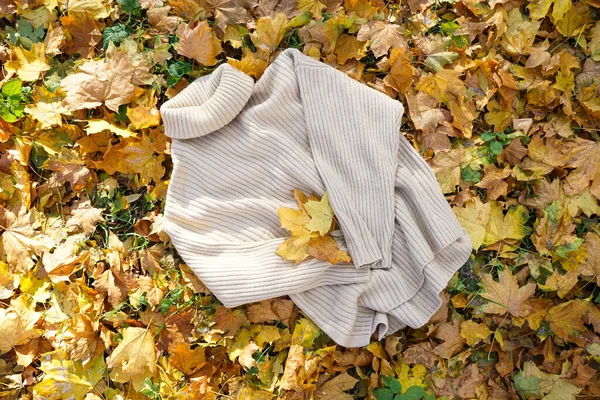Kuscheliger Pullover Auf Herbstblättern Park Ansicht Von Oben — Stockfoto