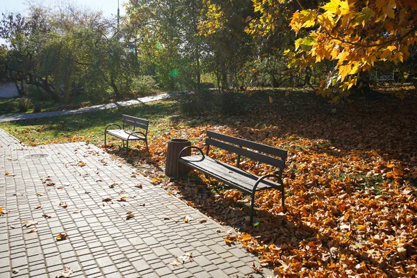 Sonbaharda parkta bir bank, dökülen yapraklar, güneşli bir gün..