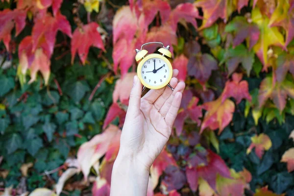 提醒大家转到冬季 一个女人在秋天树叶的衬托下拿着闹钟 — 图库照片