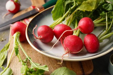 Ripe red radish in a bowl on a grey background, close-up. Fresh red radish.	