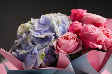 Siyah arka planda ortanca çiçekli şakayık gülleri, yakın plan..