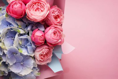 Pembe arka planda ortanca çiçekli şakayık gülleri. Mesaj için yer var. Düz yatıyordu.