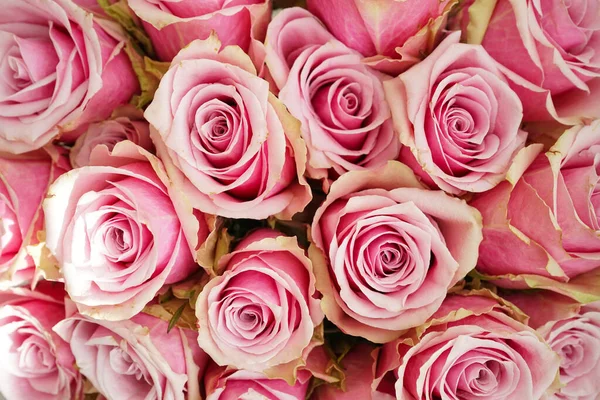 Букет Розовых Роз Крупным Планом Красивый Яркий Цветочный Фон Вид — стоковое фото