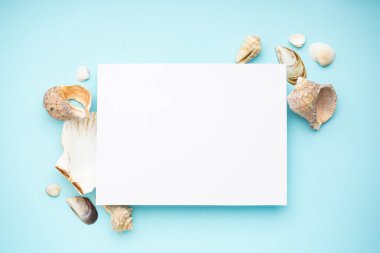 Mavi arka planda birçok güzel deniz kabuğu ve metin için yer var..