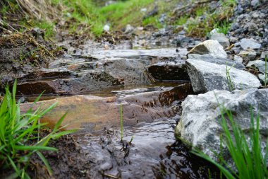Küçük bir dere yeşil çimenler ve toprakla çevrili kayalık bir yatağın içinden akar. Düz taşların üzerinden akan suyun yakın çekimi tazelik ve doğal sükunet hissi verir..